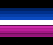 Polyflux flag