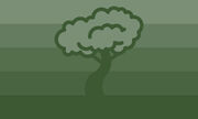 Liminarborial