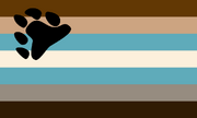 Trans bear