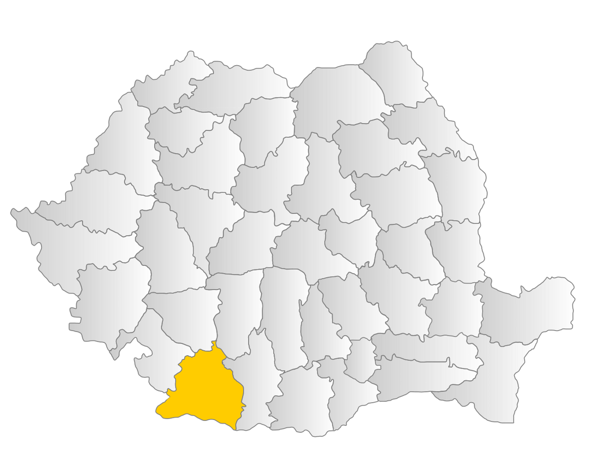 Dolj County Familypedia Fandom