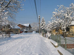 Main street in Izvoru