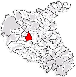 Location of Reghiu in Vrancea County