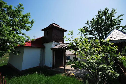 Rediu Mitropoliei, Iași Familypedia Fandom