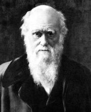 Charles Darwin 1881