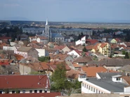 Houses in Satu Mare
