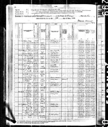 1880 US census in Deerpark, New York