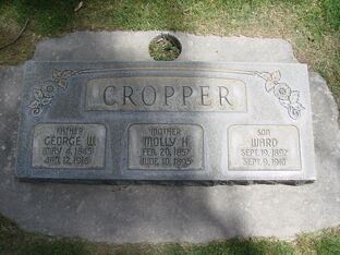 Gwcropper1845g.jpg