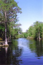 LumberRiverStatePark