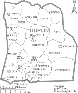 Map of Duplin County, North Carolina With Municipal and Township Labels