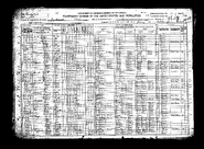 1920 census