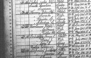 1900 census VanDeusen Burnett Cobleskill