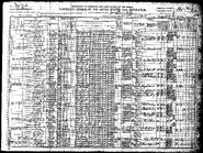 1910 census