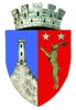 Coat of arms of Tecuci