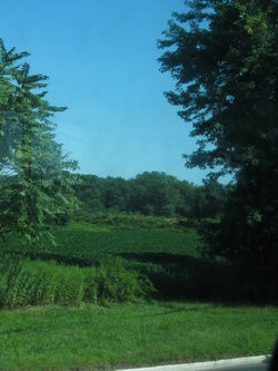 An outdoor scene of Mercer County.