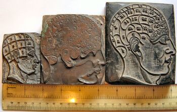 Phrenology heads used by George Burgess (1829-1905) in his profession