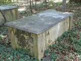 Martha Denny Martin (1824-1853)