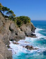 Spezia monterosso