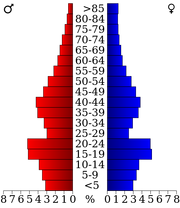 USA Rice County, Minnesota age pyramid