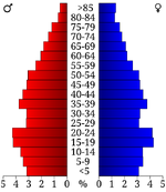 USA White County, Arkansas age pyramid