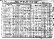 1910 US census