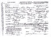 Jan Szczesny Birth Certificate