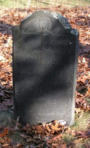 Tadams1720g