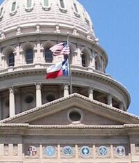 Texas Capitol Flags