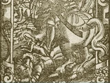 Treniota (c1210-1264)