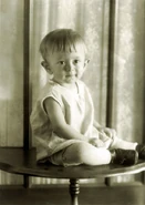 Don Renner