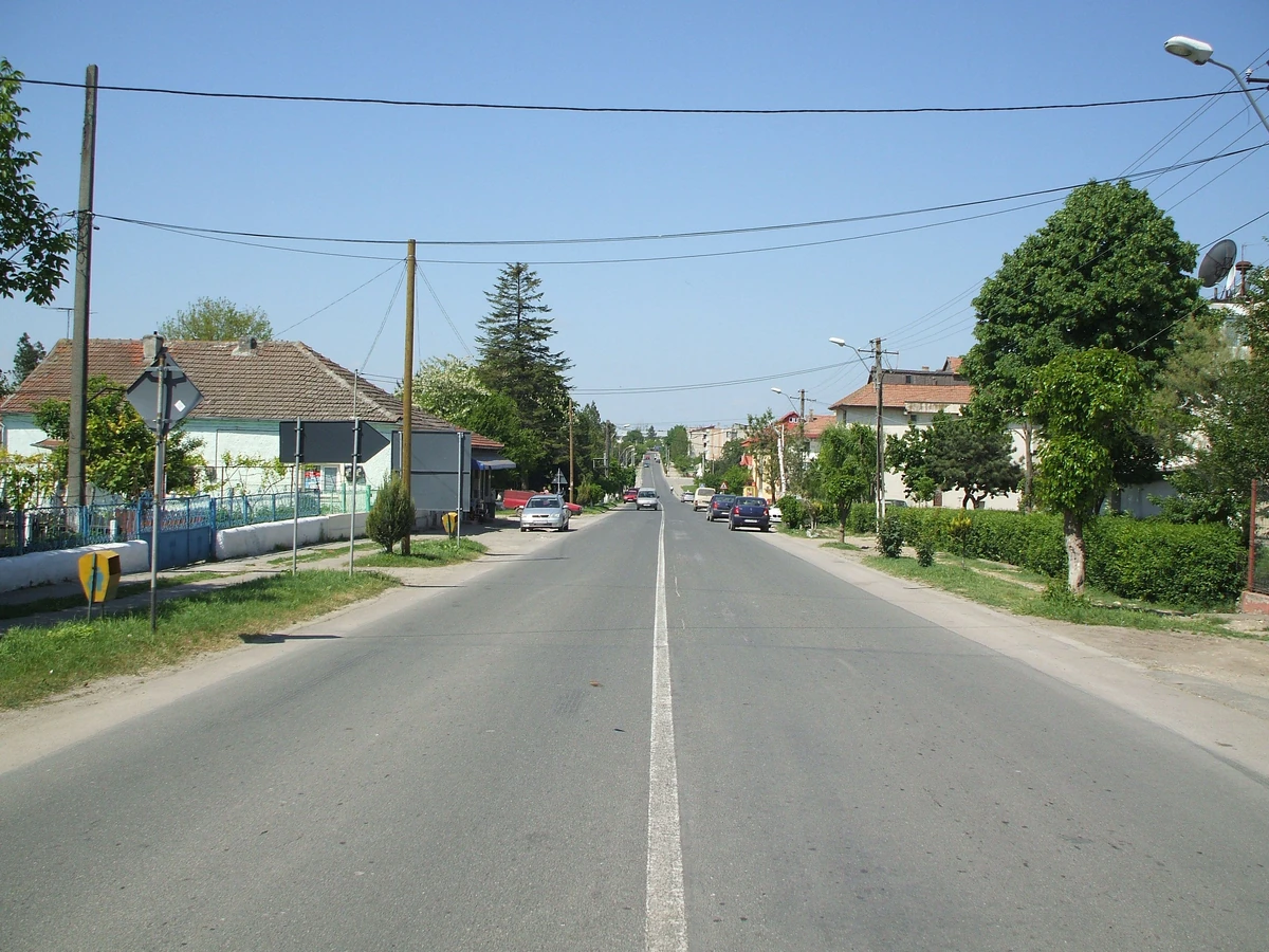 Negru Vodă Familypedia Fandom