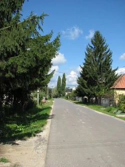 Main street in Sečianky