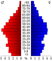 USA Buchanan County, Virginia age pyramid