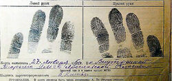 Fingerprints of Anna Timiriova 3