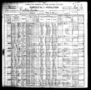 1900 census.