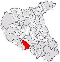 Location of Dumitrești in Vrancea County
