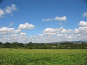 Limericklandscape