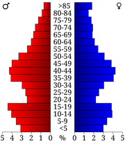 USA Goodhue County, Minnesota age pyramid