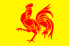Flag of Wallonia