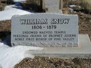 Wmsnow2020a.jpg