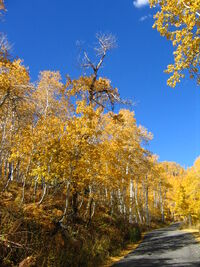 October 12 2005 Alpine Loop Utah United States