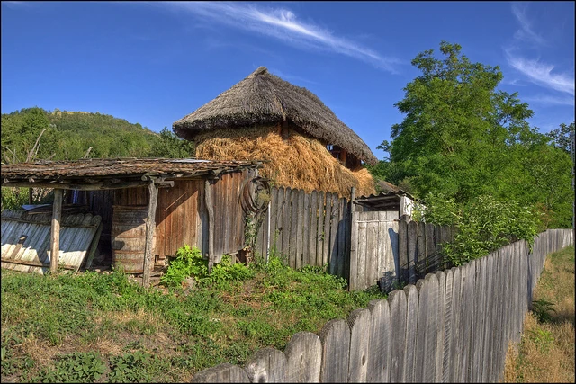 Roșiori, Vaslui Familypedia Fandom