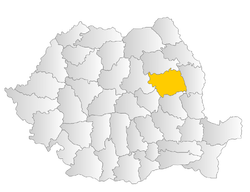 Bacau