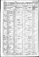 1860 census Langan