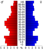 USA Chippewa County, Minnesota age pyramid