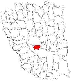Location of Costache Negri in Galați County