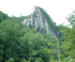 CaudysCastleRockWV