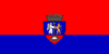 Flag of Oradea