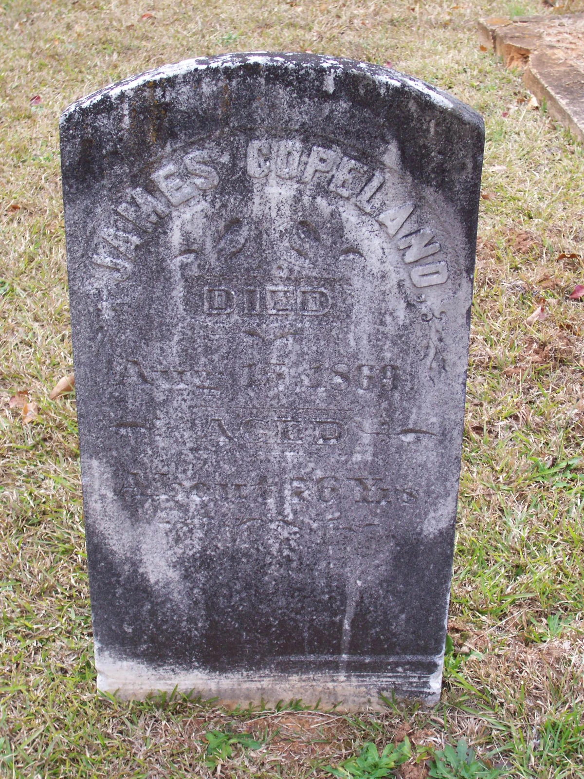 James Copeland (17931869) Familypedia Fandom