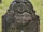Jonathan Murray (1714-1764)