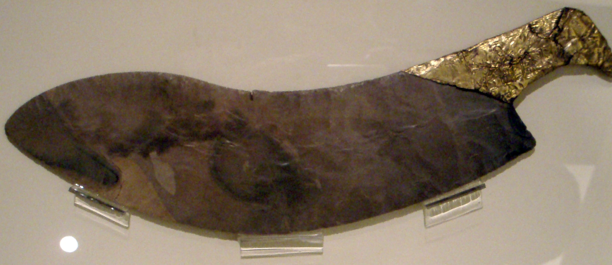 30th Century Familypedia Fandom